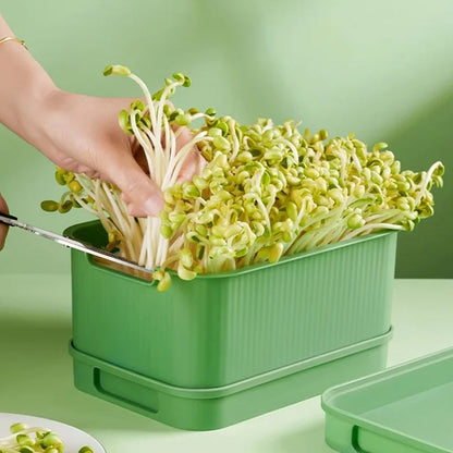 🌱 ¡COMPRA 3 LLEVA 4! ✨ Caja de Cultivo de Judías Germinadas Apilable - Kit de Huerto Urbano Multinivel para Brotes Frescos en Casa 🏡🥗
